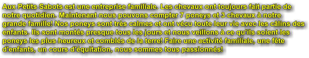 Party Poney, petitssabots.ca, Aux Petits Sabots est une entreprise familiale. Les chevaux ont toujours fait partie de notre quotidien. Maintenant nous pouvons compter 7 poneys et 3 chevaux  notre grande famille. Nos poneys sont trs calmes et ont vcu toute leur vie avec les calins des enfants. Ils sont monts presque tous les jours et nous veillons  ce qu'ils soient les poneys les plus heureux et combls de la terre! Faire une actrivit familiale, une fte d'enfants, un cours d'quitation, nous sommes tous passionns!